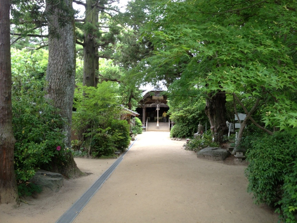 20130602-202124.jpg