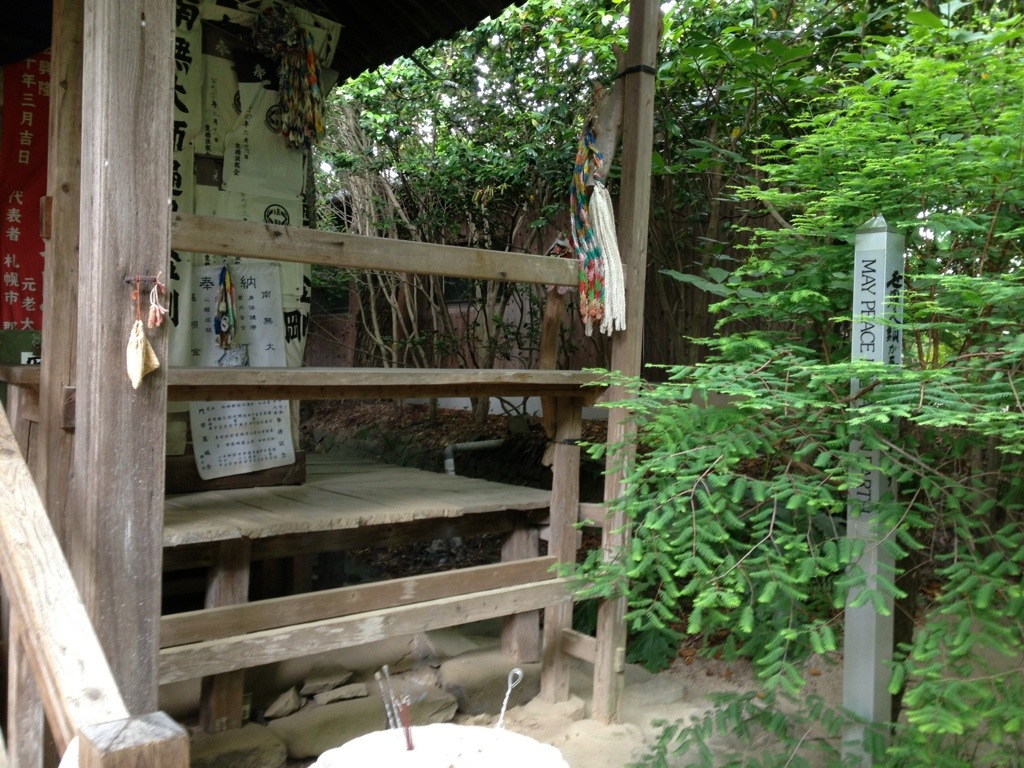 20130602-202558.jpg