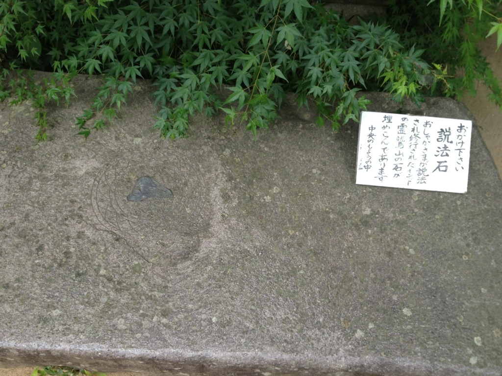 20130602-202656.jpg