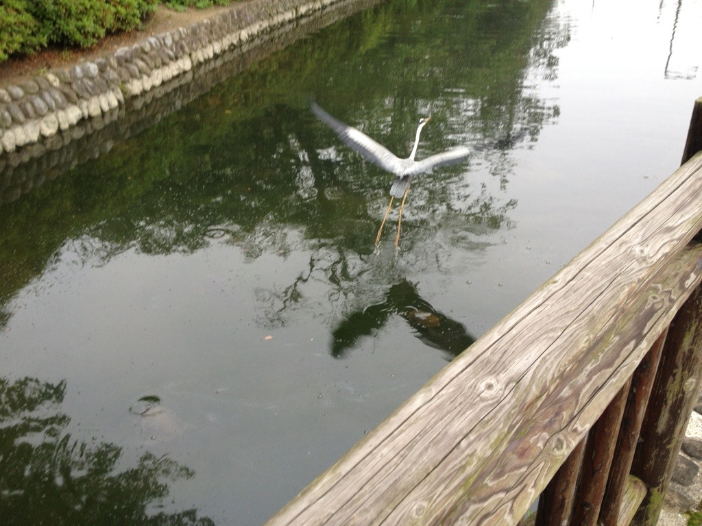 20130604-200427.jpg