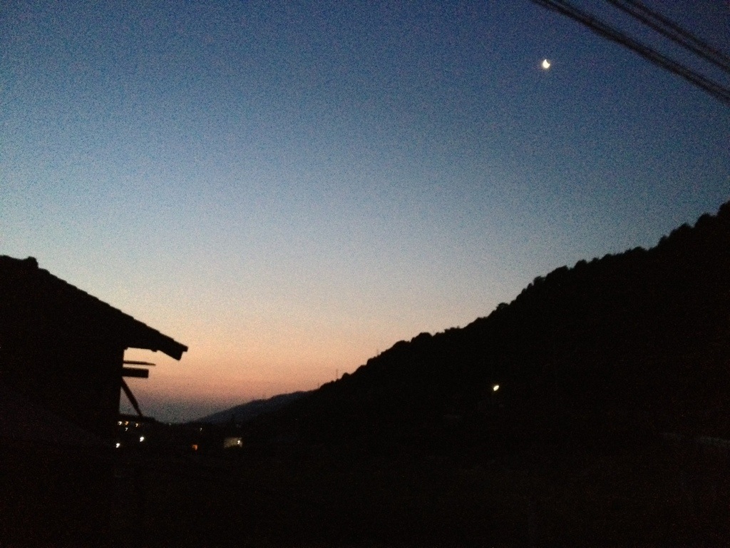 20130608-200832.jpg