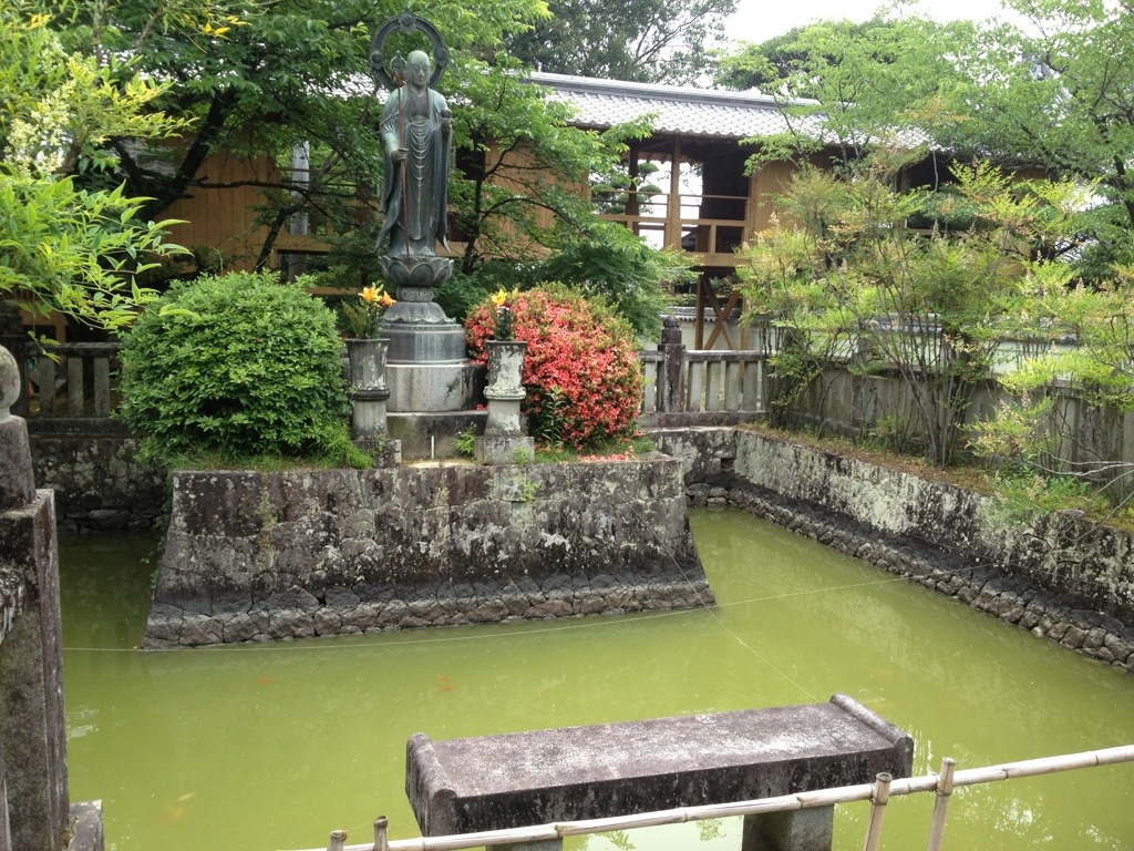 20130610-202430.jpg